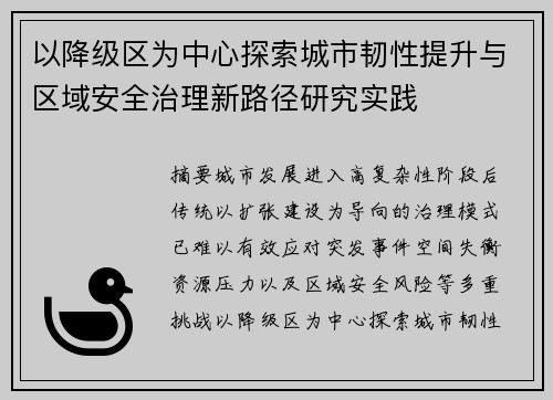 以降级区为中心探索城市韧性提升与区域安全治理新路径研究实践 以降级区为中心探索城市韧性提升与区域安全治理新路径研究实践