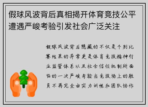 假球风波背后真相揭开体育竞技公平遭遇严峻考验引发社会广泛关注